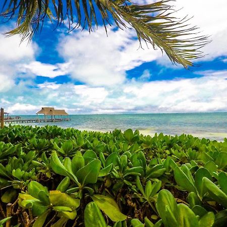 Punta Me Beach Suites Cancun Bagian luar foto