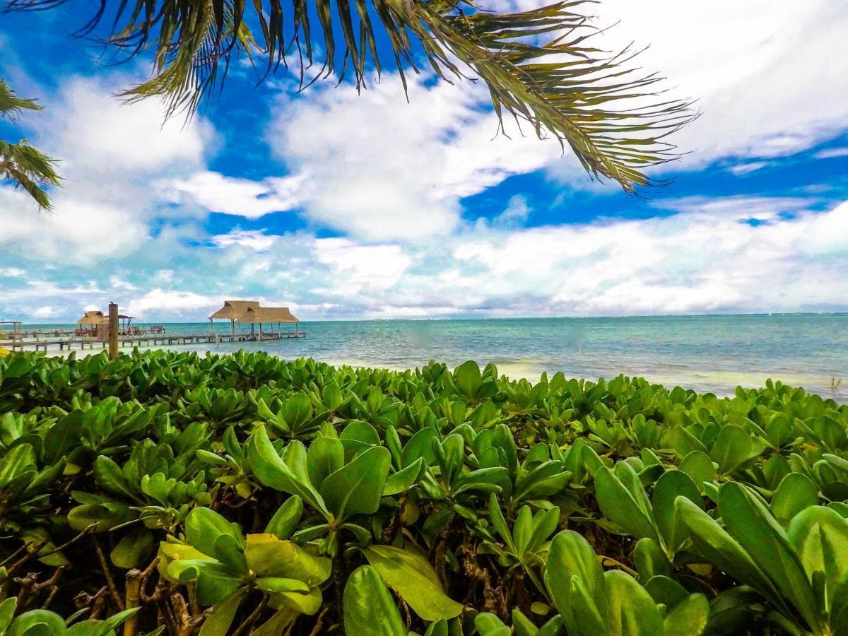 Punta Me Beach Suites Cancun Bagian luar foto